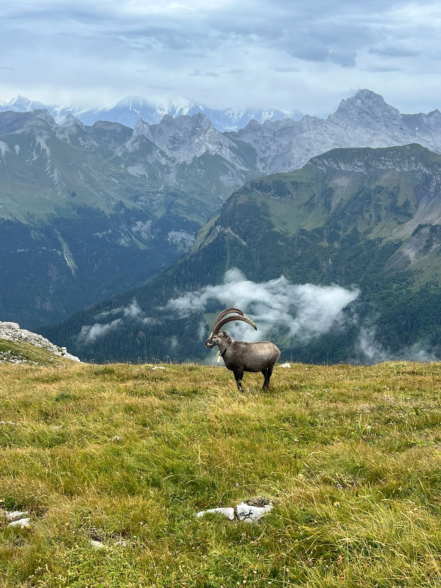 Rencontre au sommet